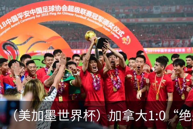 （美加墨世界杯）加拿大1:0“绝杀”南非 队史首进16强